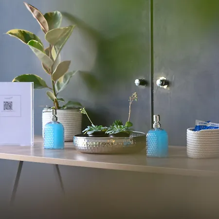 Aparthotel Aquarius Mesongí