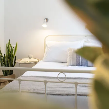 Aquarius 3* Mesongí